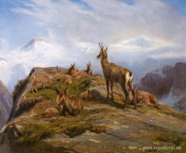 Stenget