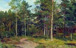 Höstlandskap. Stig i skogen