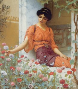 Sommarblommor
