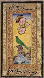 Studie av en guldmantlad Chloropsis