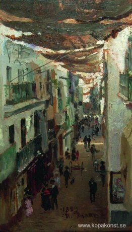 Ormarnas gata i Sevilla