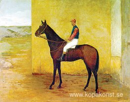 Jockey och häst