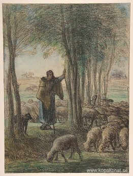 En herdinna och hennes flock i skuggan av träd