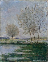 Översvämmade ängar