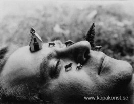 Landskap som attityd