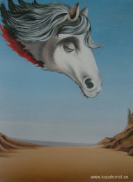 Le soleil du dimanche