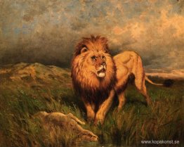 Lion and Prey (även känd som The Kill)