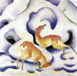 Rådjur i snön