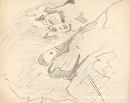 Monhegan (studie)