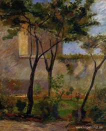 Hörn av trädgården rue Carsal