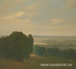 Eucalyptus Grove i ett vidsträckt landskap