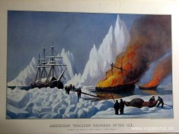 Amerikanska valfångare krossade i isen