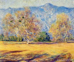 Sycamores, Pasadena