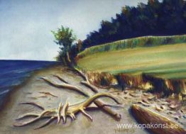 Lake Ontario Shore