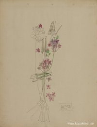 Storknäbb, Heliga ön