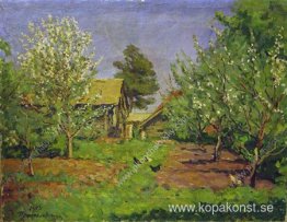 Blommande trädgård