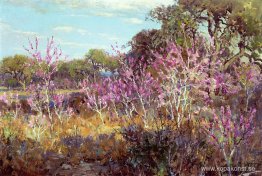 Redbud Tree i blom vid Leon Springs, San Antonio