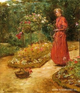 Kvinna som skär rosor i en trädgård