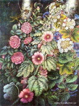 Malva och rosor