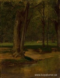 Trout Stream, North Conway