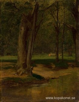 Trout Stream, North Conway