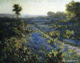 Field of Texas Bluebonnets och Prickly Pear Cactus