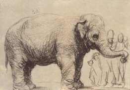 En elefant
