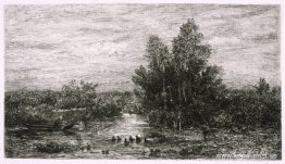 Fiskare på floden med ankor