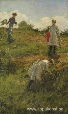 Sommarlov