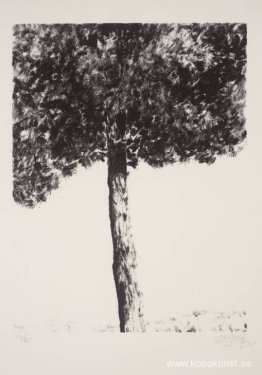 Jerusalem tall