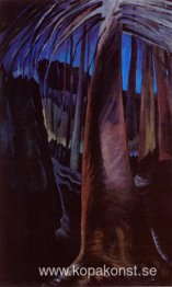 Gamla träd i skymningen