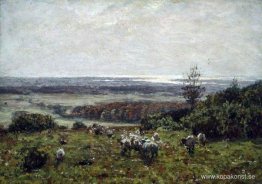 Landskap