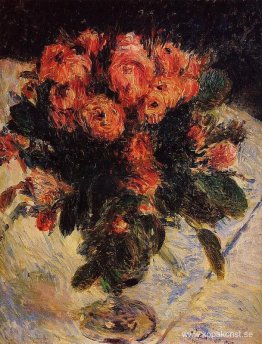 Rosor