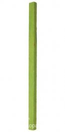 Untitled Green Monochrome