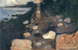 Månsken på stranden