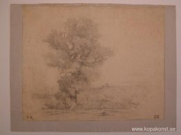 Landskap