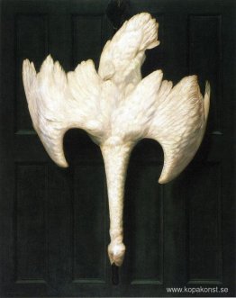 Trumpetersvanen