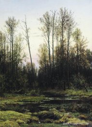 Skog på våren