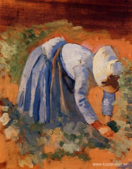 Studie för The Grape Pickers
