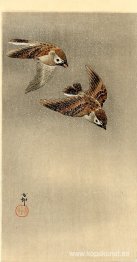 Två sparvar på flykt