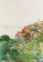 Field of Poppies, Isles of Shaos, Appledore