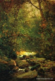 Ström i skogvintern