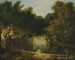 Utsikt över vildmarken i St. James's Park