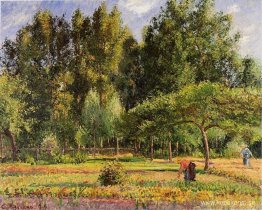 Poplar, eftermiddag i Eragny