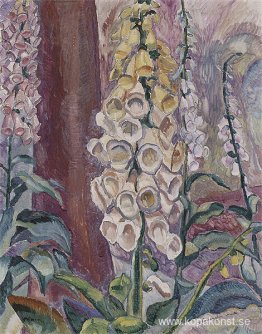 Foxgloves växer