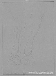 Slaget vid San Romano