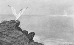 Aeolskärpa