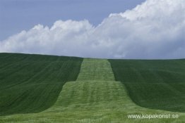 Basilicata