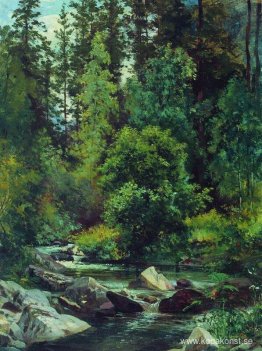 Forest River
