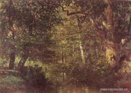 Vattendrag i skogen